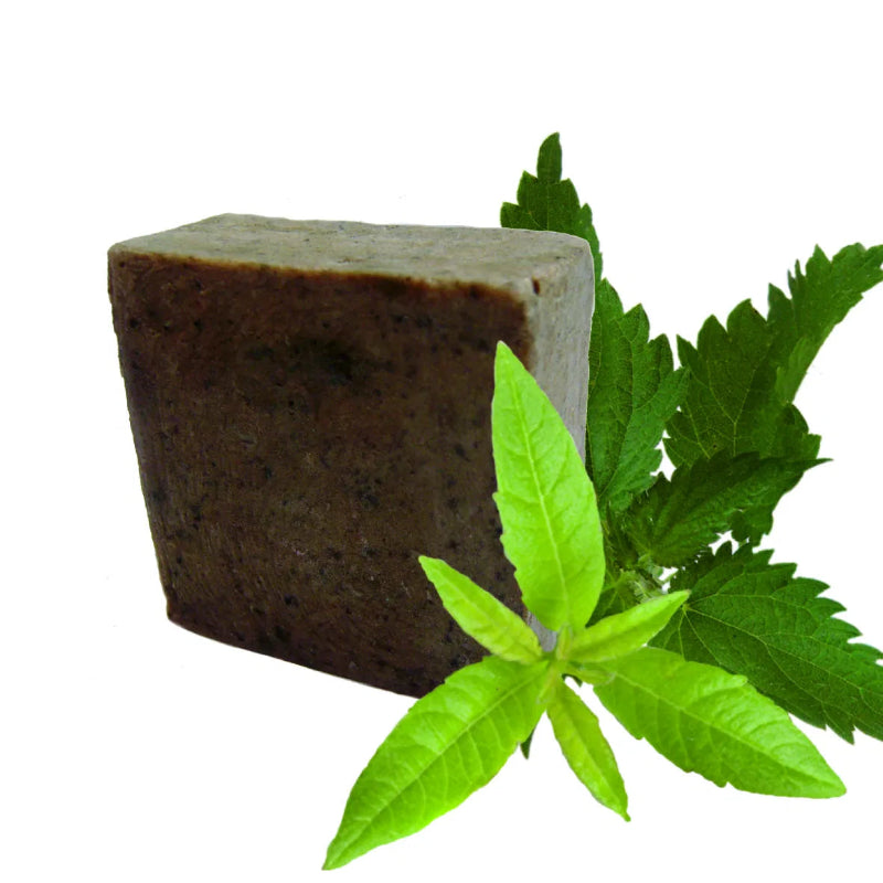 shampoing solide sans sulfate cheveux gras