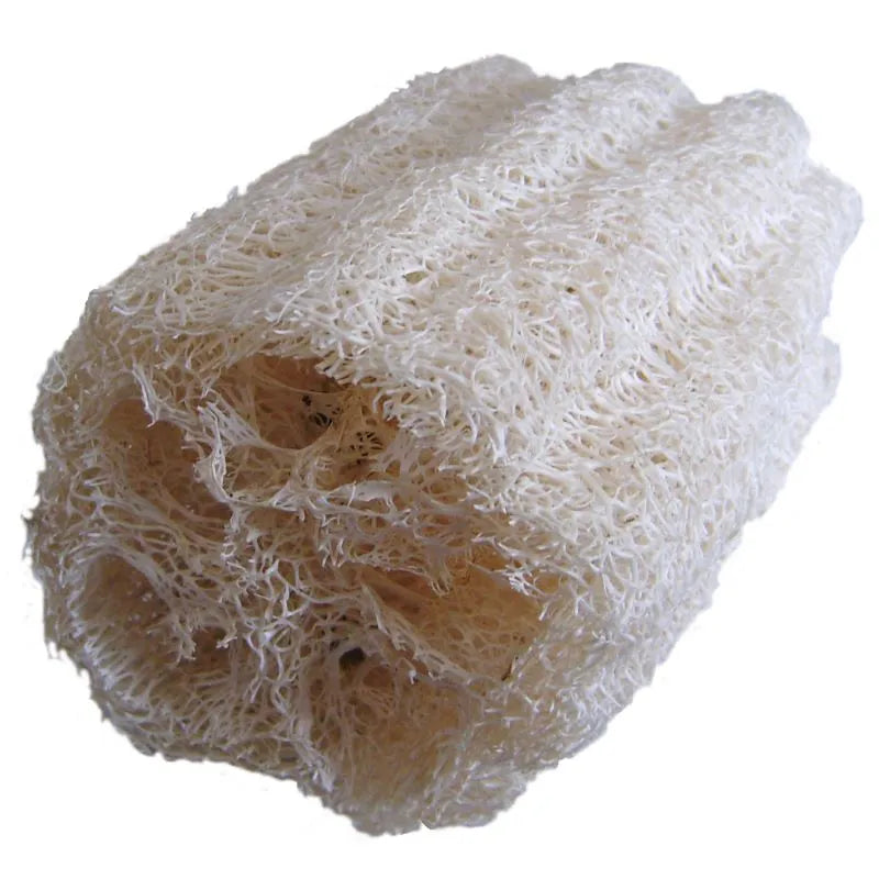Eponge exfoliante loofah