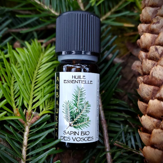 Huile essentielle de sapin des Vosges, bouteille de 10 ml en verre ambré, sur fond de forêt