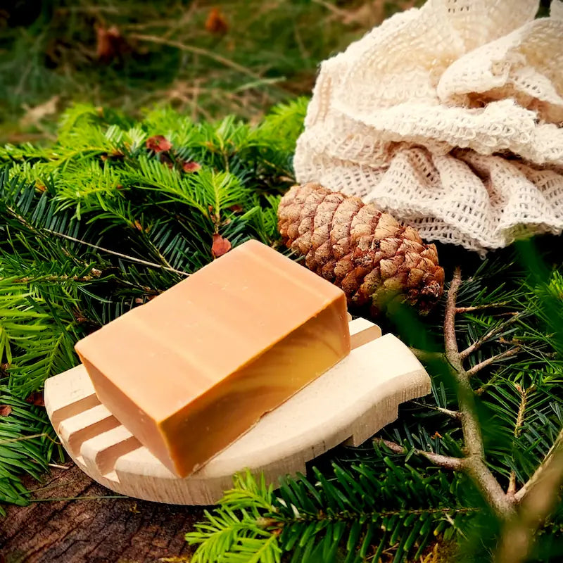 Savon tonifiant au sapin sur son porte savon en bois, en pleine forêt
