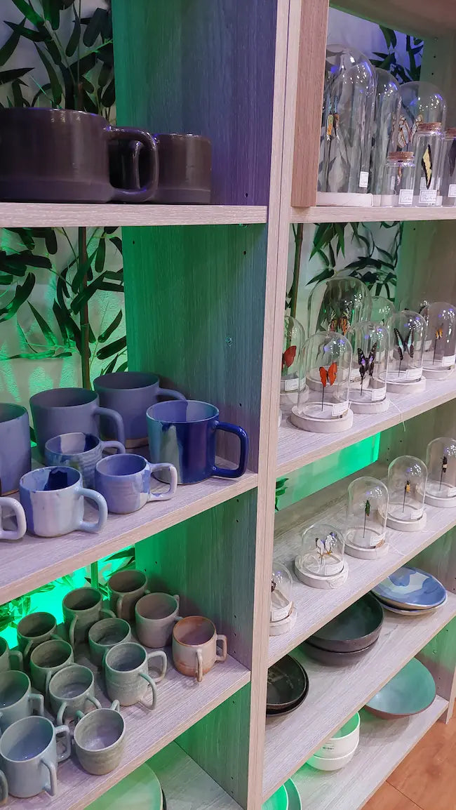 Céramiques artisanales et papillons sous cloche, créées par des artisans locaux des Vosges, idées à ramener en souvenir.